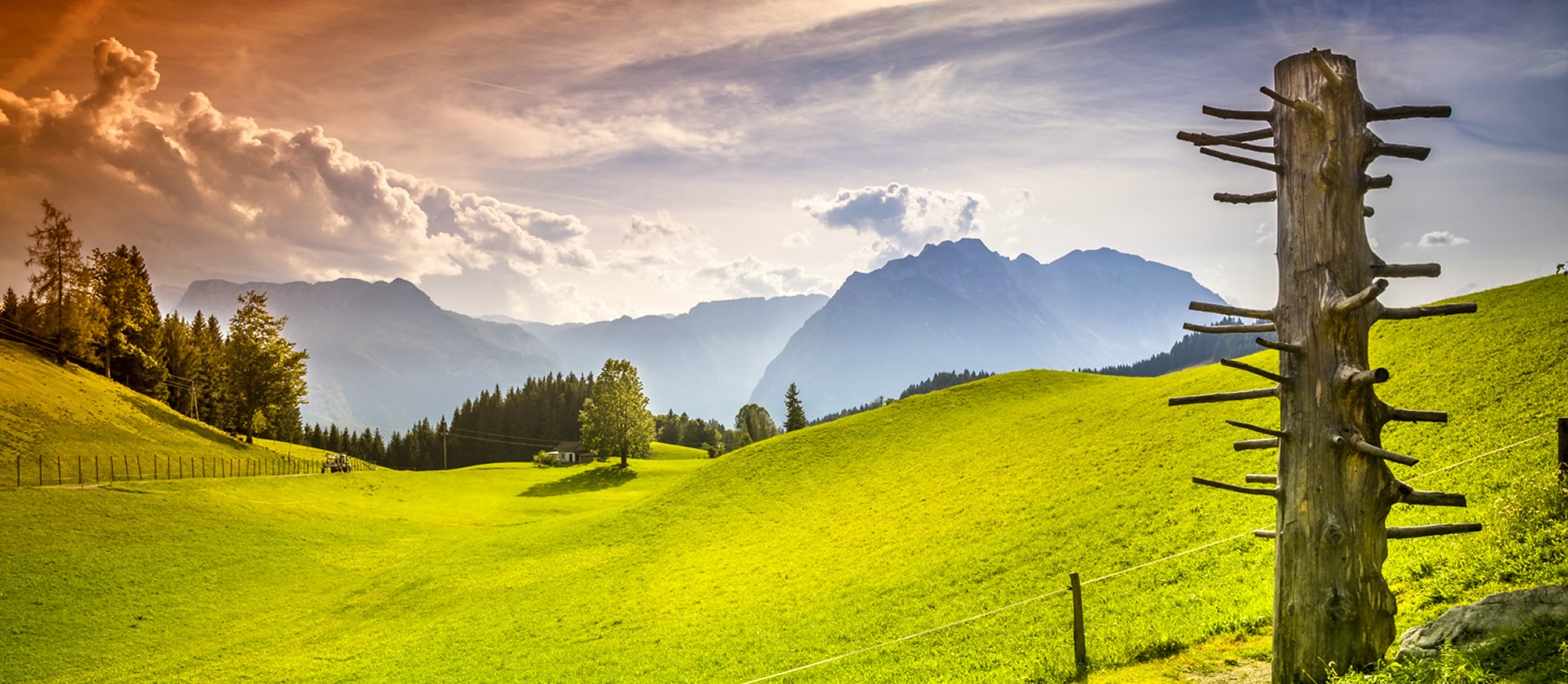 Ausblick von der Sonnenterrasse des Bio-Berggasthof Bachrain (© Urlaub am Bauernhof)